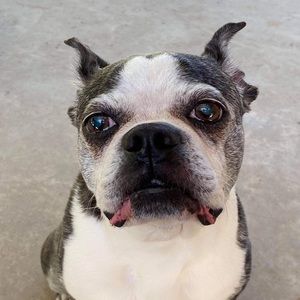 Meet your Posher, Brittany